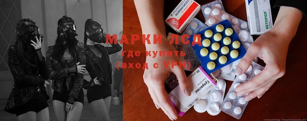 ПСИЛОЦИБИНОВЫЕ ГРИБЫ Баксан