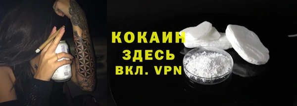 ПСИЛОЦИБИНОВЫЕ ГРИБЫ Баксан
