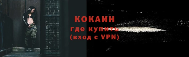 гашик Михайлов