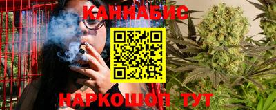 прущие грибы Обь