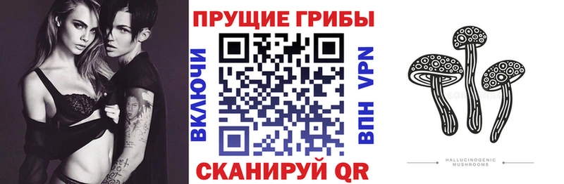 omg зеркало  Нерюнгри  Псилоцибиновые грибы мухоморы 