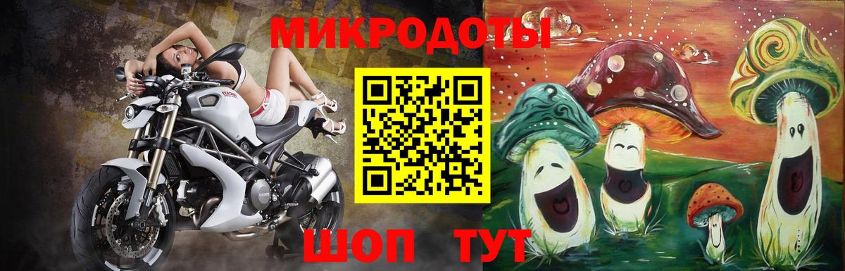 Галлюциногенные грибы Psilocybe  Вход с VPN  Нерюнгри 